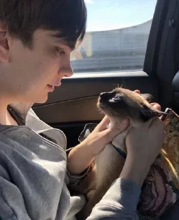 😺 emoji Слава кпсс Telegram sticker 7 of 67