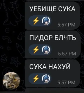 Sticker from набираемся знаний с ркгд