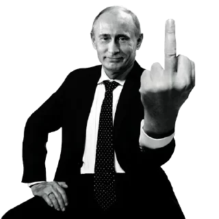 🖕 emoji Больше стиков тут: @stikery4 Telegram sticker 3 of 14
