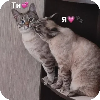 ❤ emoji Квдаробика 🌿🐾 by @stqrapp Telegram sticker 21 of 45
