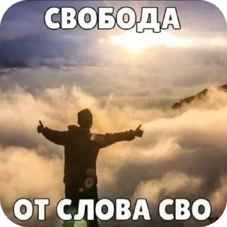Sticker from @Cix_pux на СВО