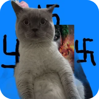 🐱 emoji https://t.me/eshkeriavizgnanii Telegram sticker 7 of 25