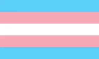 🏳‍🌈 emoji Коточел ориентация фвндом ориента Telegram sticker 9 of 13