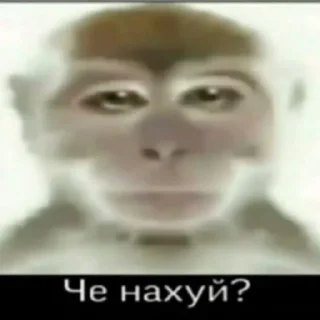 Sticker from Передоз кринжа