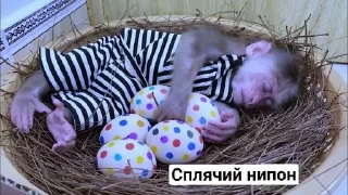 Sticker from Стікерпак кринжа