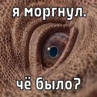 👀 emoji ДЭДОВЫ НАКЛЕЙКИ Telegram sticker 17 of 60