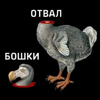 😳 emoji ДЭДОВЫ НАКЛЕЙКИ Telegram sticker 9 of 60