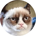 Sticker from Cats Cats Cats