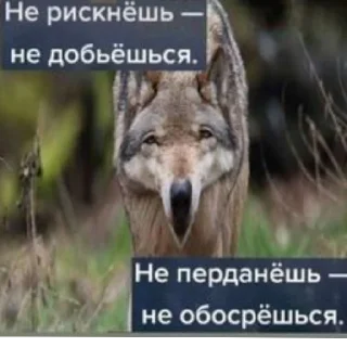 😄 emoji Говноед228😎😎😎 Telegram sticker 14 of 19