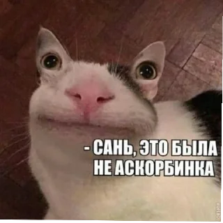 Sticker from Говноед228😎😎😎