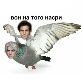 ☺️ emoji Димочка Telegram sticker 8 of 41