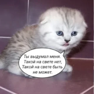 😿 emoji м1р не исправ1м @vn9tr1tem @vn9tr1tem0 Telegram sticker 5 of 58