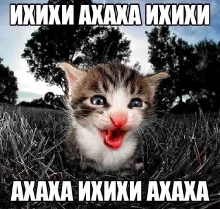 Sticker from Котята страх