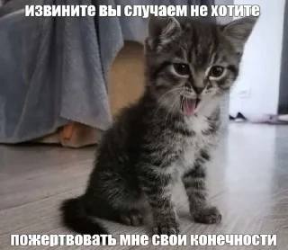Sticker from Котята страх