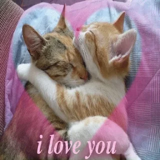 Sticker from топчик