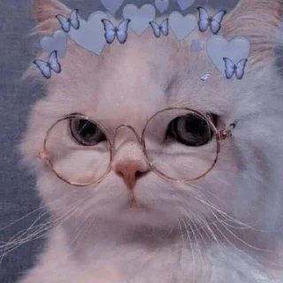 Sticker from ฅ_Cats_ฅ