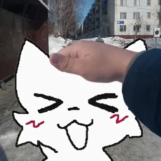 😽 emoji Милые глупые котята Telegram sticker 7 of 70