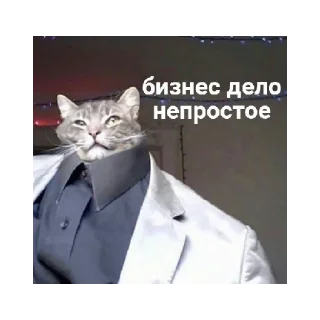 😄 emoji КАР Telegram sticker 8 of 24