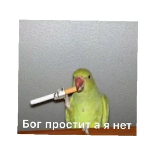 😄 emoji КАР Telegram sticker 18 of 24