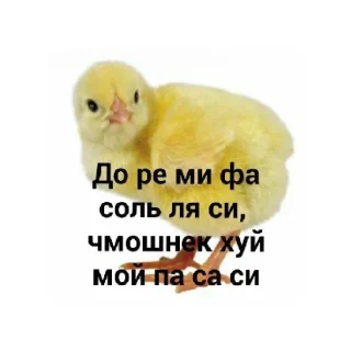 😄 emoji КАР Telegram sticker 11 of 24