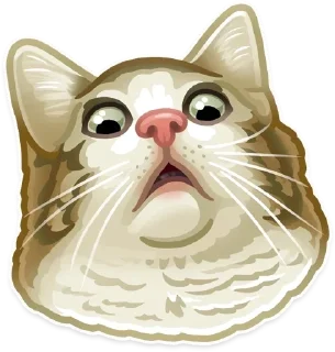🐱 emoji Animals Telegram sticker 4 of 19