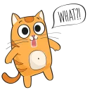 🐱 emoji Kitten @stickersb2b Telegram sticker 14 of 20