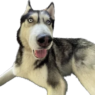 🤪 emoji Подкаст під під‘їздом Telegram sticker 23 of 31