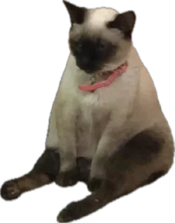 😐 emoji мемесы Telegram sticker 9 of 26