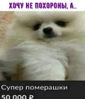 Sticker from 💋💋 Не смешной черни юмор