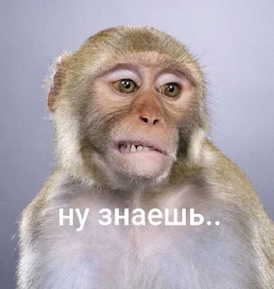 Sticker from брадке