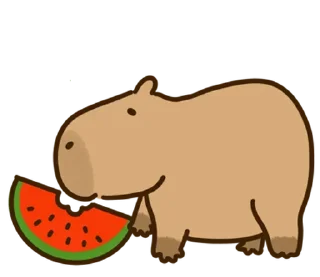 🥶 emoji Больше стикеров: @capybarastiker Telegram sticker 8 of 25