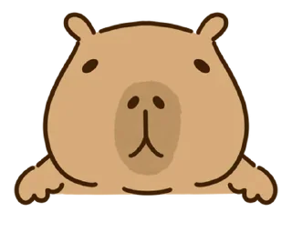🥶 emoji Больше стикеров: @capybarastiker Telegram sticker 22 of 25