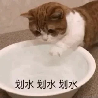 🐱 emoji Больше стиков тут: @stikery4 Telegram sticker 24 of 45