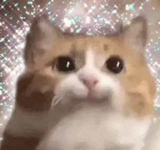 🐱 emoji Больше стиков тут: @stikery4 Telegram sticker 17 of 45