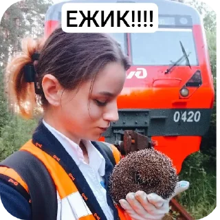 🚗 emoji ЕКАТЕРИНА ЗА КОНТРОЛЕРОМ!! ➡️ @Ctikerubot Telegram sticker 4 of 19