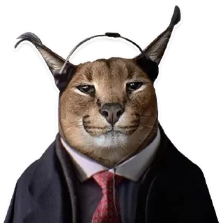 🎧 emoji Big Floppa @homolvdens Telegram sticker 20 of 69