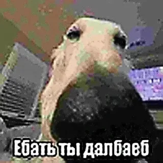 🌟 emoji павапеве Telegram sticker 20 of 46