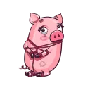 🐷 emoji Pig @stickersb2b Telegram sticker 6 of 10