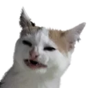 Sticker from Reaction