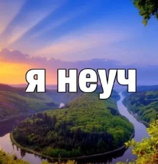 💔 emoji капибары уже бэйсик Telegram sticker 5 of 120