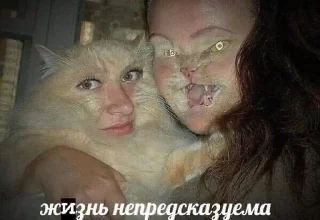 Sticker from с любовью от меня