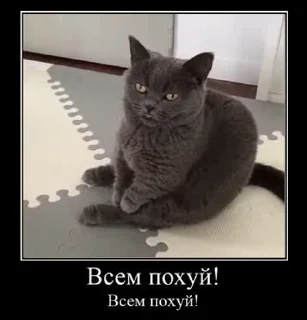 😾 emoji Больше стиков тут: @stikeryk Telegram sticker 13 of 50