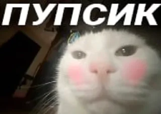 🌟 emoji Zhonya's cringe Telegram sticker 9 of 83