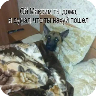 👍 emoji гипер пак фурри вперед Telegram sticker 10 of 73