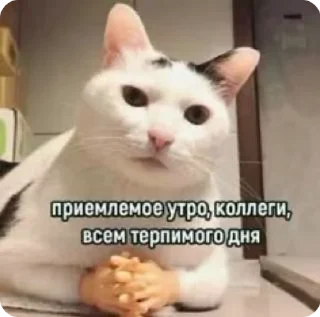 🌞 emoji Мемчанский Telegram sticker 17 of 75