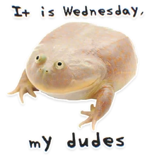 🙂 emoji WEDNESDAY Telegram sticker 5 of 18