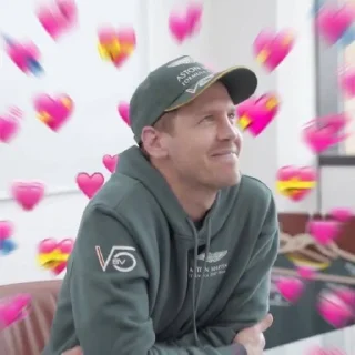 Sticker from seb vettel memes