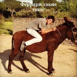 🐎 emoji Кошмар, колымага! Telegram sticker 5 of 58