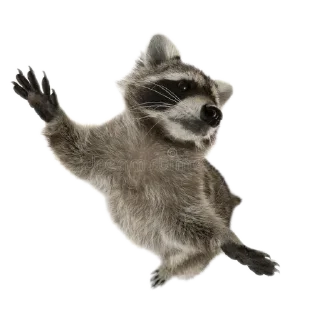 😇 emoji Енотики🥰создатель-> @GeroinTG228 ➡️ @Ctikerubot Telegram sticker 17 of 40