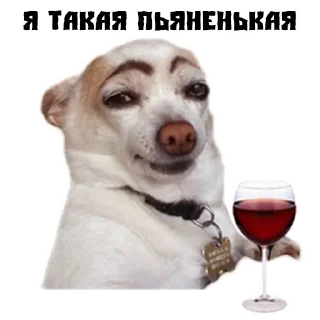 🍷 emoji (@StickersHyickers) Псина Сутулая Telegram sticker 13 of 17